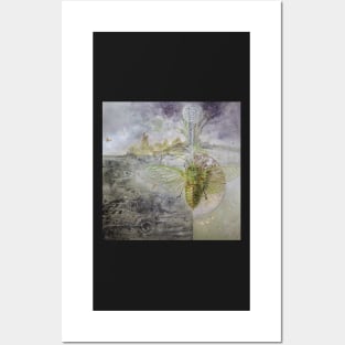 Cicada Posters and Art